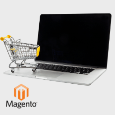 Magento, Now Adobe Commerce