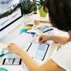 Best eCommerce Website Designs: Way to Success