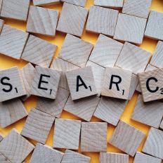 Improve Your Website Internal Search to Drive More Conversions