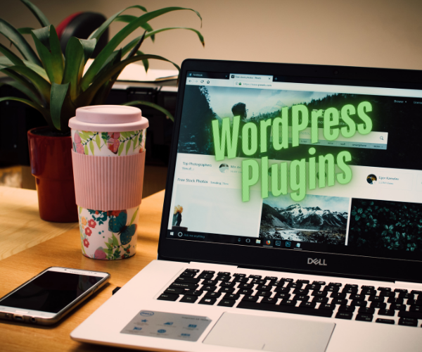 Complete Guide to Creating WordPress Plugins