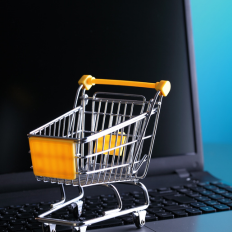 Exploring the Different Types of E-commerce Models