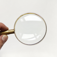Effective Catalog Search: A Guide for E-commerce Stores