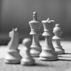 Proven Lead Generation Strategies for Business Growth